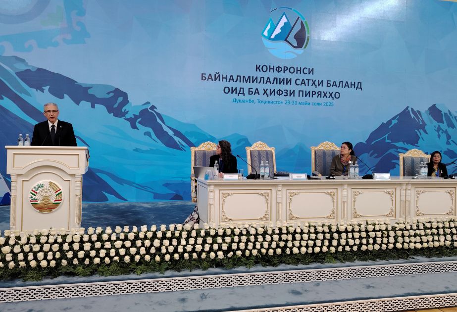 Global climate action yields real results, says Babayev at high-level Glacial Forum