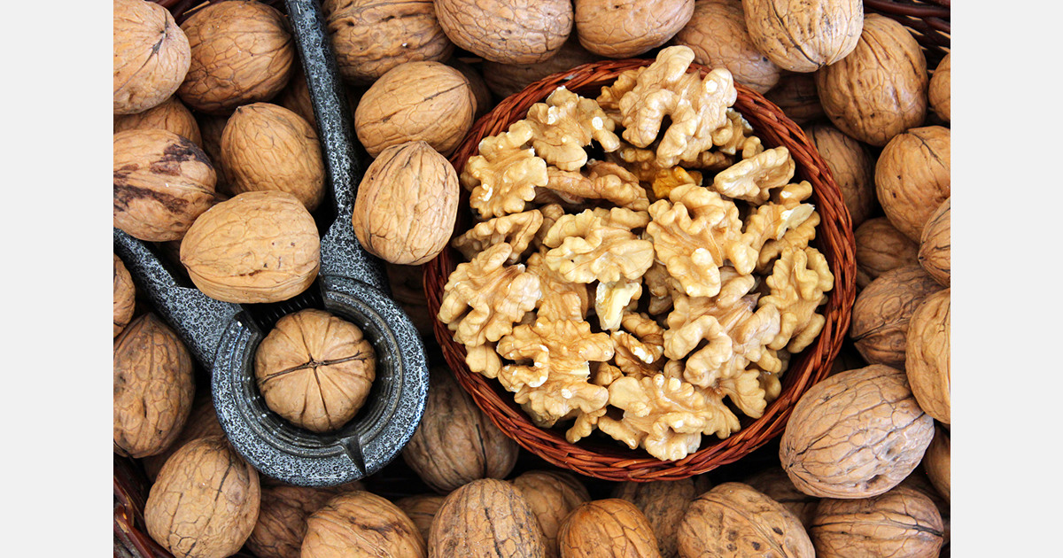 Moldova’s walnut harvest expected to drop by 20–30% in 2025