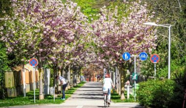 Frühsommerliche Hitze - Hier wurde bereits die 33-Grad-Marke geknackt
