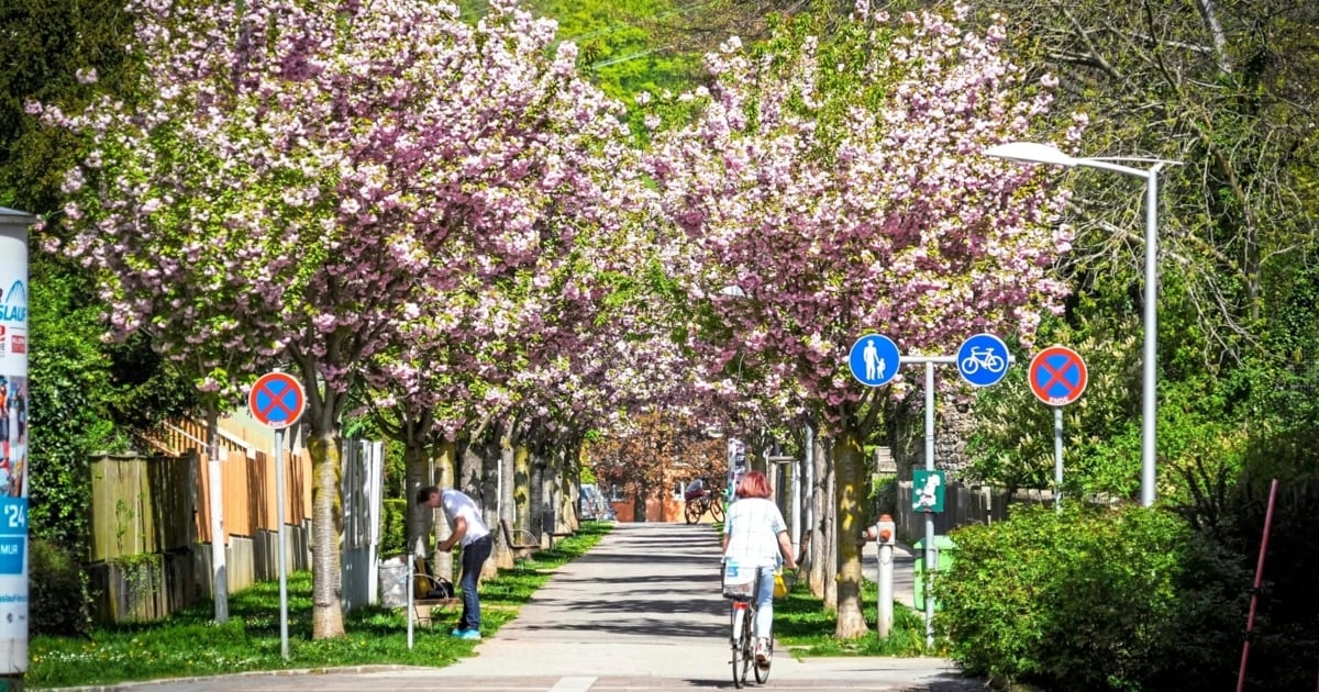 Frühsommerliche Hitze - Hier wurde bereits die 33-Grad-Marke geknackt