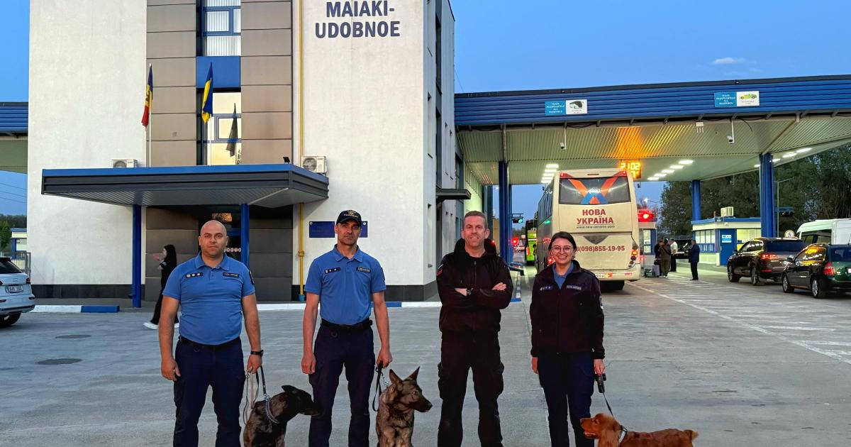 Pembrokeshire dog expert helping frontline teams in Moldova