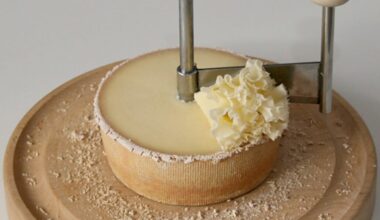 The physics of frilly Swiss cheese “flowers”