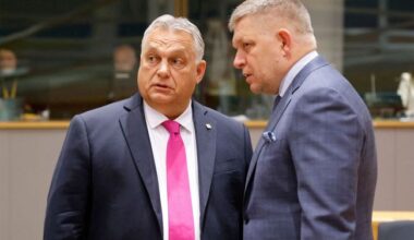 Why Hungary and Slovakia suddenly supported new EU sanctions against Russia: Media explains