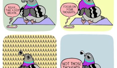 Thursday Complaints (08/05)