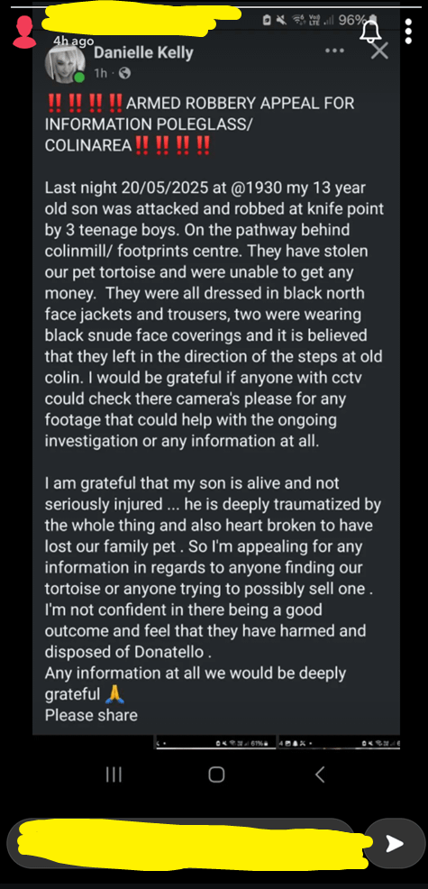 Child attacked and robbed and Tortoise stolen in West Belfast last night.