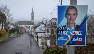 Germany's intelligence service moves against far-right AfD, sets off quarrel with US