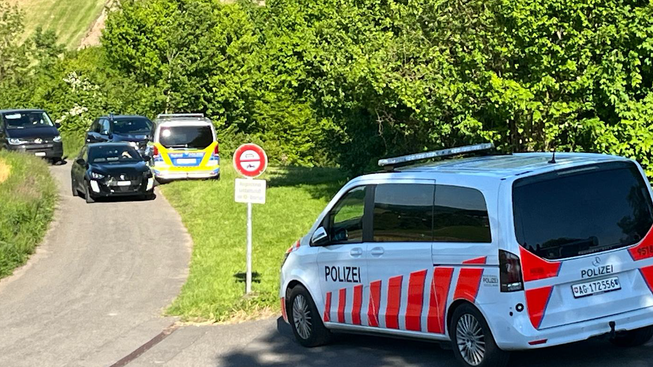 Die Polizei ist nach Berikon ausgerückt.