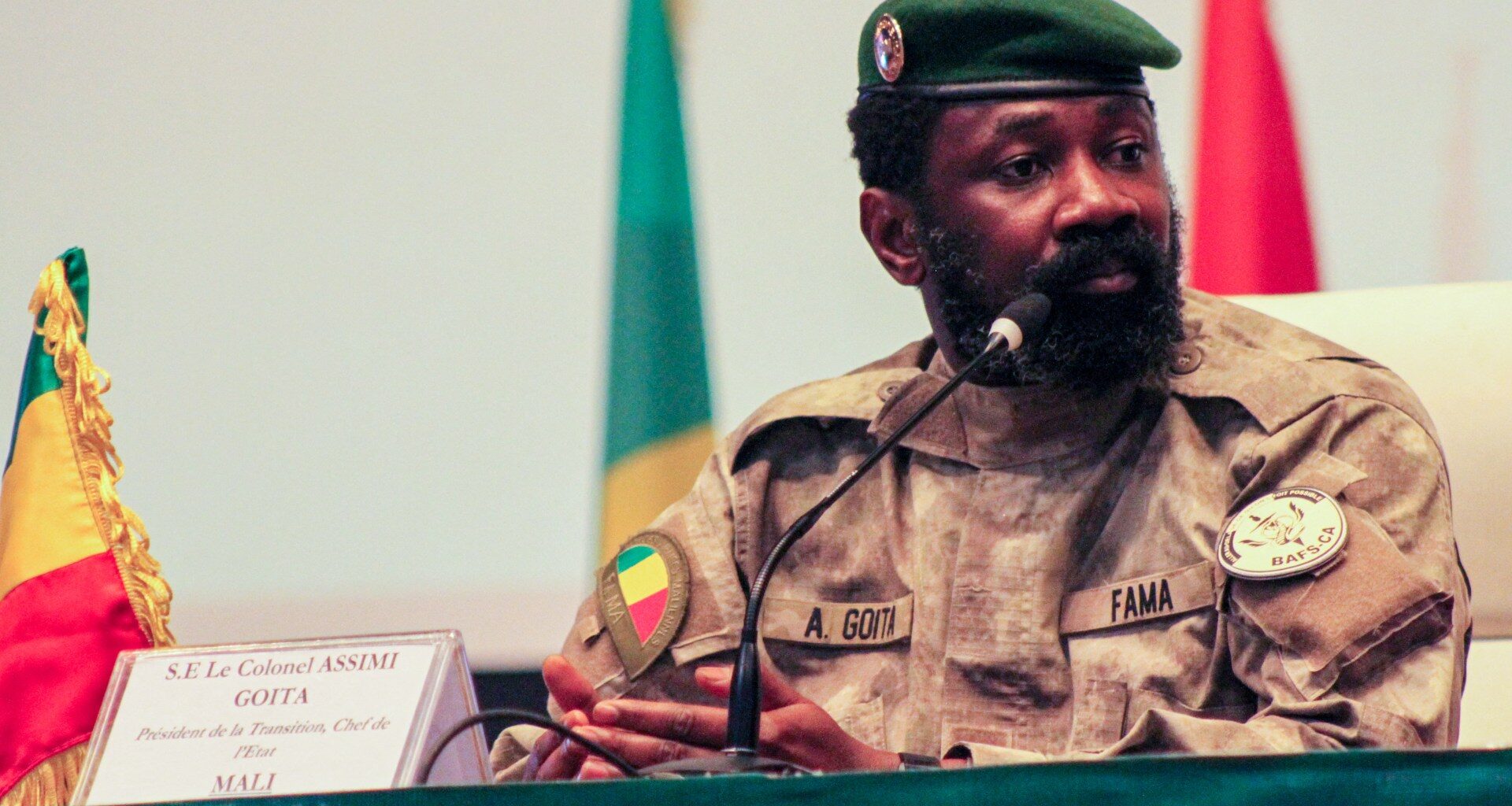 Mali’s military government suspends political parties’ activities | Politics News