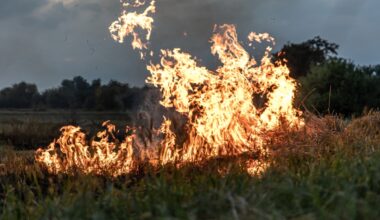 Incêndios florestais: União Europeia mobiliza bombeiros e aeronaves para Portugal | Rádio Voz da Planície - 104.5FM