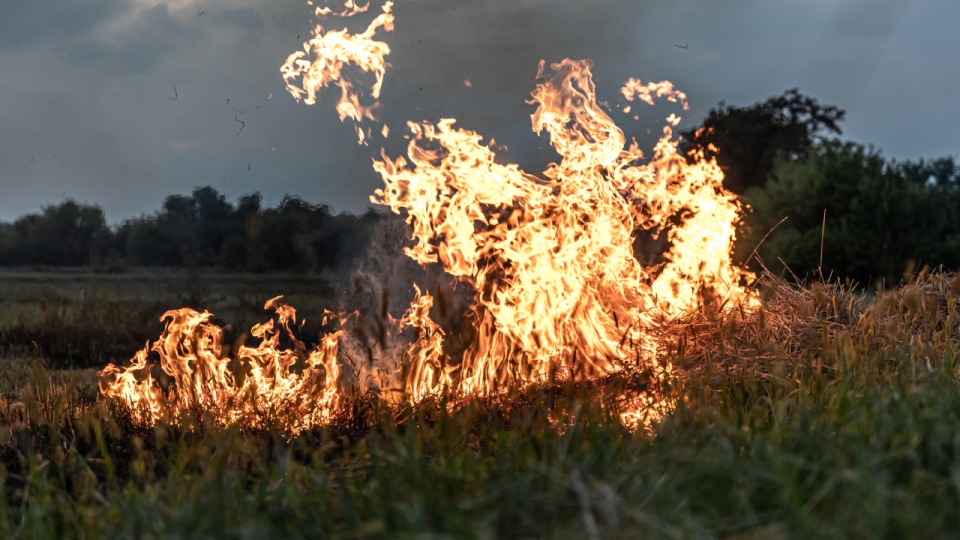 Incêndios florestais: União Europeia mobiliza bombeiros e aeronaves para Portugal | Rádio Voz da Planície - 104.5FM