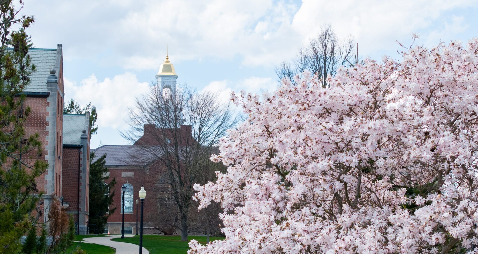 Three Students Earn National Science Foundation Graduate Research Fellowships