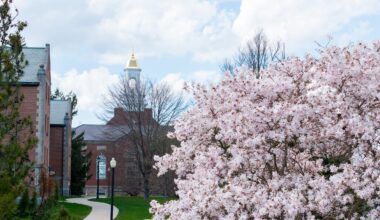 Three Students Earn National Science Foundation Graduate Research Fellowships