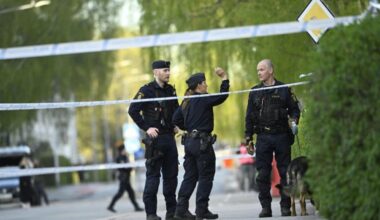 Sweden remands three in custody over triple murder