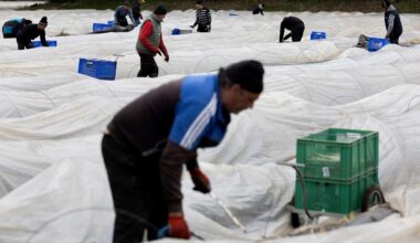 Foreign workers a key driver of euro zone growth, say ECB economists