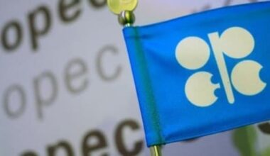 OPEC Flag