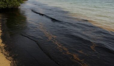 Pemex Oil Spill Impacts Over 10 Miles of Coastline Near Olmeca Refinery