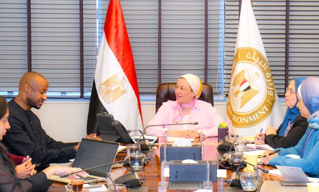 Egyptian Minister of Environment, Yasmine Fouad meets with Ambassador Seyni Nafo, Coordinator of the African Adaptation Initiative (AAI) in Cairo- press photo Egyptian Minister of Environment, Yasmine Fouad meets with Ambassador Seyni Nafo, Coordinator of the African Adaptation Initiative (AAI) in Cairo- press photo