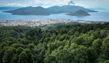 Climate change takes spice from Ternate clove farms