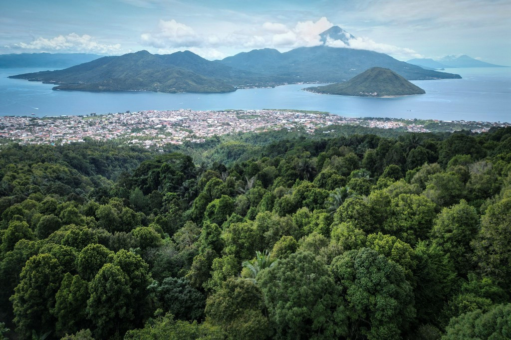 Climate change takes spice from Ternate clove farms