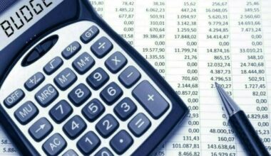 Budget FY26: govt to continue fiscal consolidation, follow IMF guidelines, says Topline - Pakistan