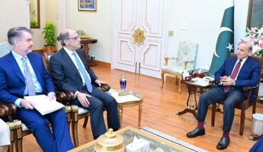 PM Shehbaz vows to expedite institutional reforms as IMF lauds economic progress - Business
