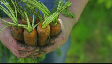 Local agribusiness entrepreneurs to share $200,000 in funding for ventures