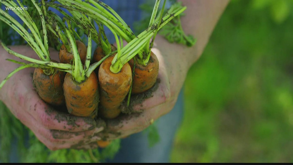 Local agribusiness entrepreneurs to share $200,000 in funding for ventures