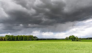Reedene ilm toob nii vihma kui äikest | ilm