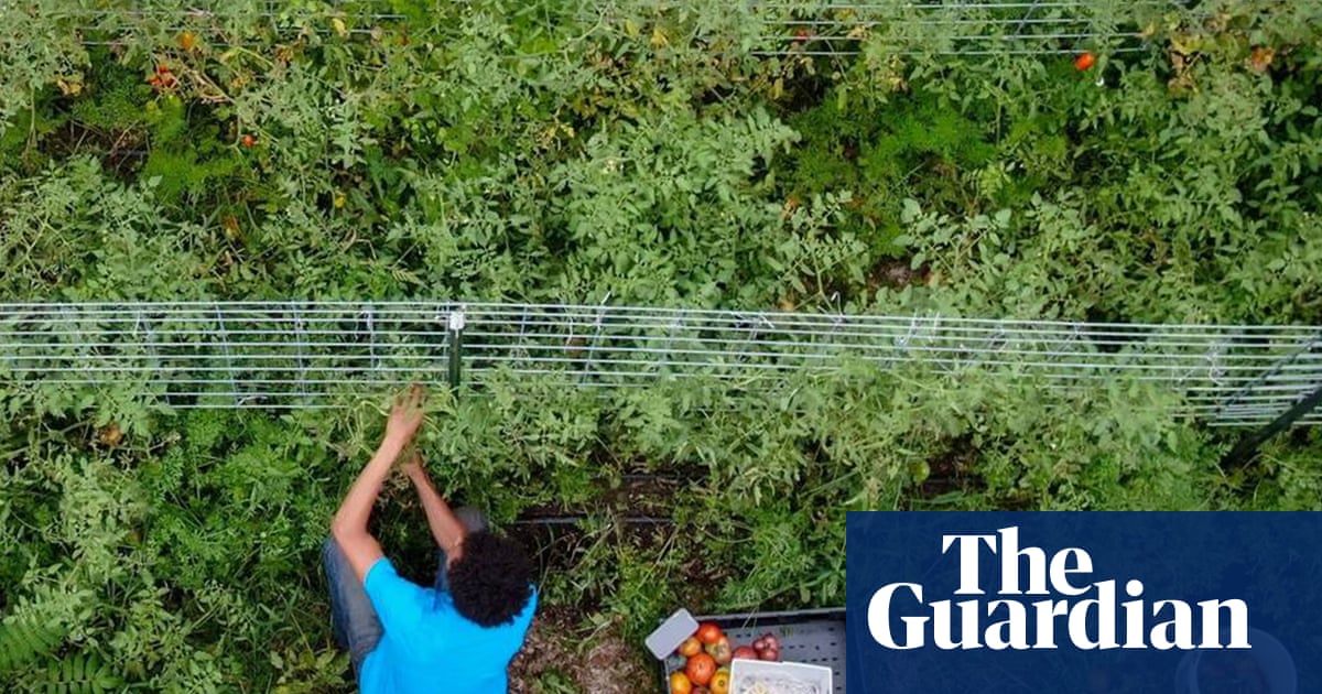 Trump tariffs to hit small farms in Maga heartlands hardest, analysis predicts | Trump tariffs