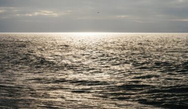 Latvia Opens Skede Maritime Testing Range for Sea Drones and Military Tech
