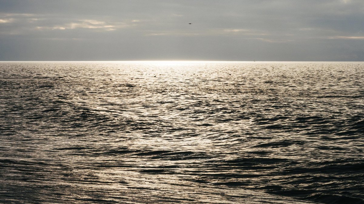 Latvia Opens Skede Maritime Testing Range for Sea Drones and Military Tech