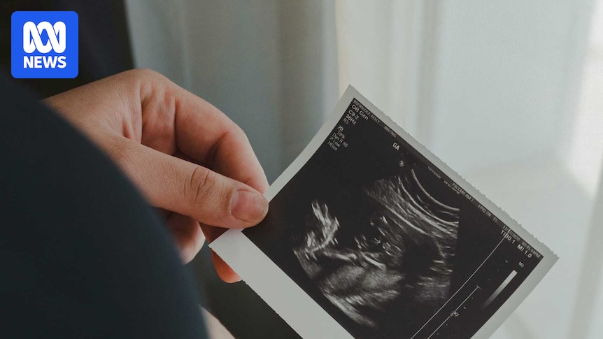 Australia's complex patchwork of surrogacy laws is leaving some children in legal limbo