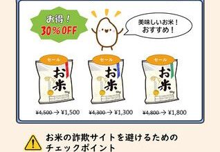 Japan Consumers Warned over Rice Offered Online at Bargain