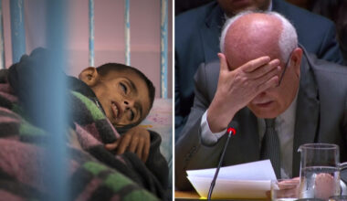Riyad Mansour brister ut i gråt i FN:s säkerhetsråd