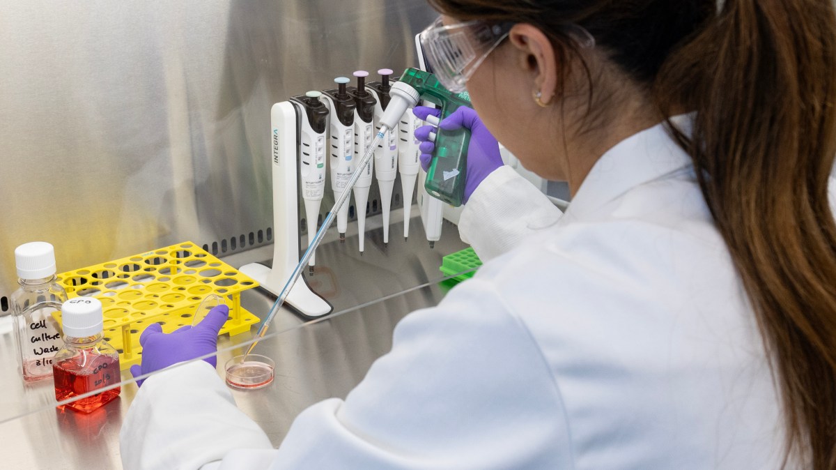 UK can beat US in science — if it fixes one problem
