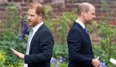 Prince Harry is less popular in America than William, poll shows