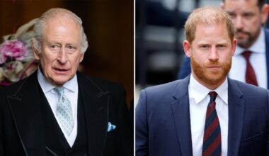 King Charles and Prince Harry Feud: Why Reconciliation May Never Happen
