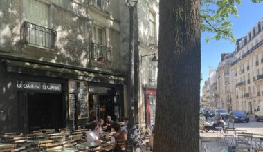 Attaque sur la terrasse du Chien stupide à Nantes : un nationaliste angevin reconnaît sa présence