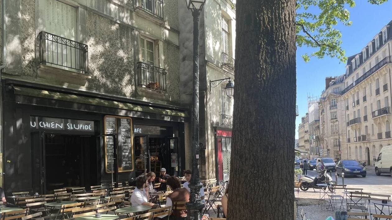 Attaque sur la terrasse du Chien stupide à Nantes : un nationaliste angevin reconnaît sa présence