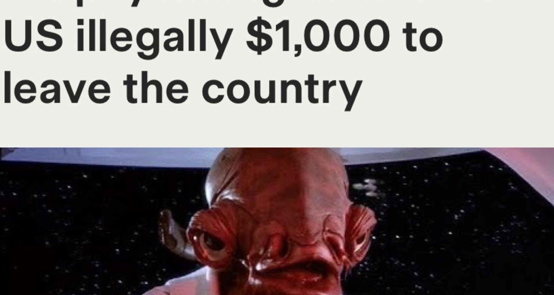 What is the Over/Under on People Reporting Themselves to this Administration for $1,000?