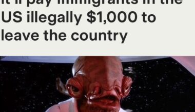 What is the Over/Under on People Reporting Themselves to this Administration for $1,000?