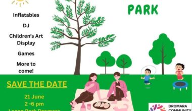 Party in the Park Dromara