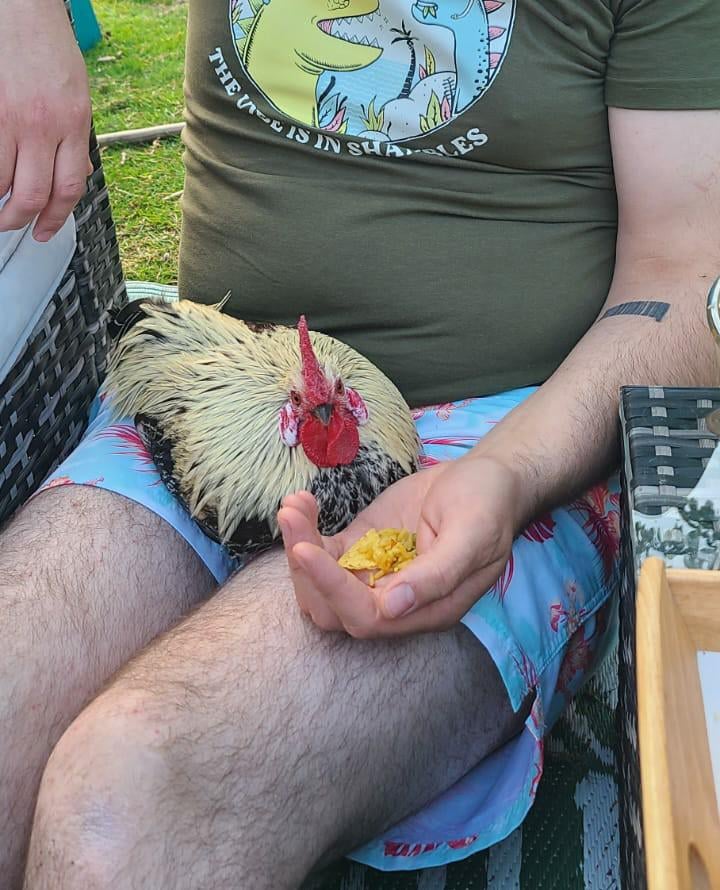 Other half says I shouldn't wear these shorts cos you can totally see my cock.