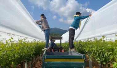 Turkish Parliament to prepare measures package against agro frost