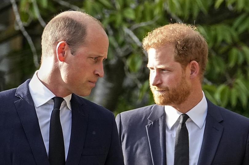 Prince William and Prince Harry are already on bad terms.