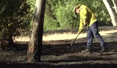 2 acre fire in Livermore forces business to shortly evacuate – NBC Bay Area