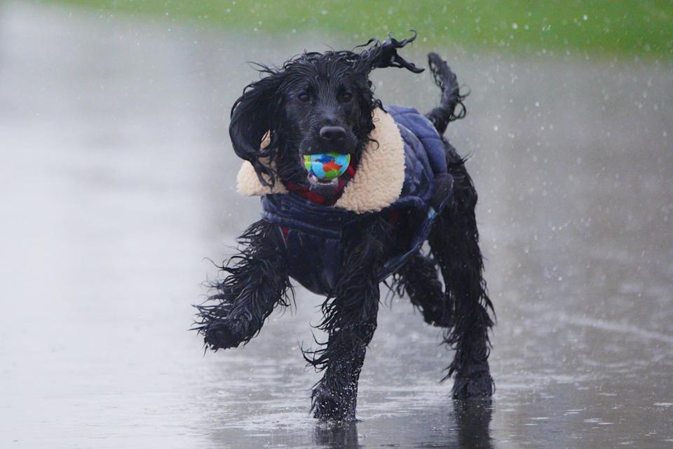Parts of the UK are braced for a damp start (PA Wire)