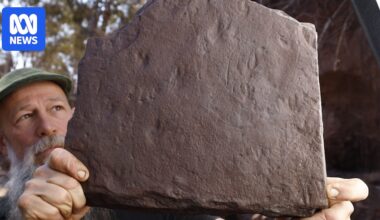 Earliest-known 'reptile' footprints discovered by amateur fossil hunters in Victoria