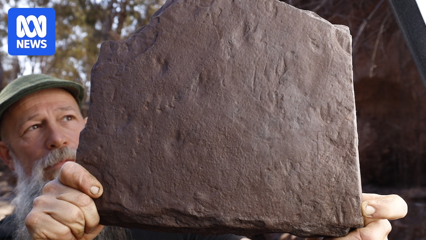 Earliest-known 'reptile' footprints discovered by amateur fossil hunters in Victoria