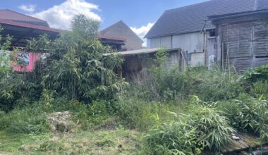 Überfordert mit zugewuchertem Garten